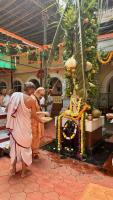 Dhwajarohana - 165th Shri Chitrapur Math Rathotsava 2026 - Day 1 (28th March 2026) 